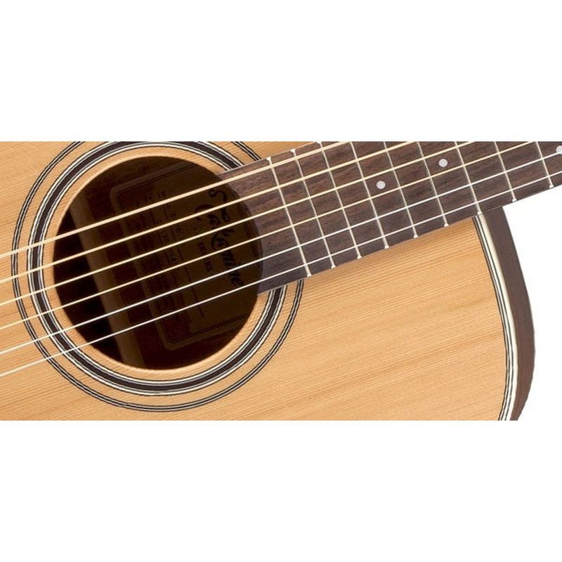 Takamine GD20-NS akustisk gitar