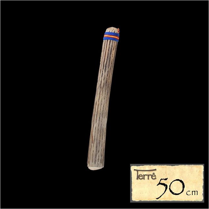 Hovedbilde Regnstav av kaktus 50 cm, Ø 6-8 cm