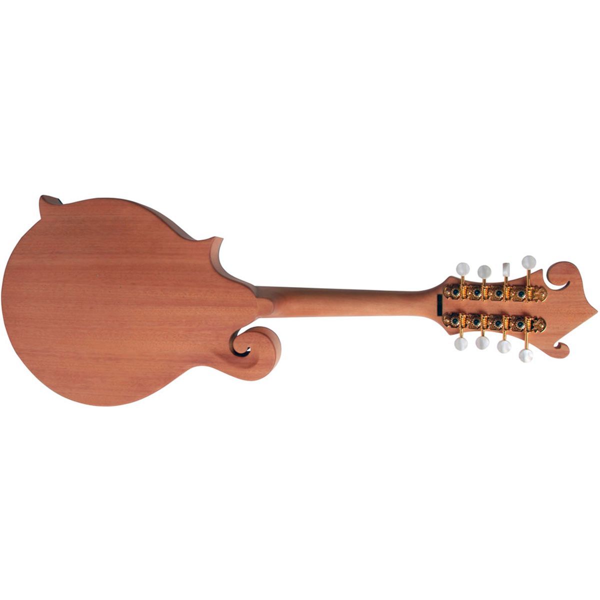 Morgan M 63 E NM Mandolin med pickup og kasse