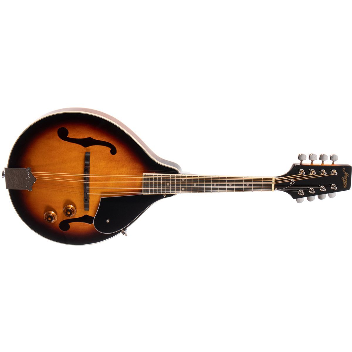 Morgan M 20 E VS Mandolin med pickup