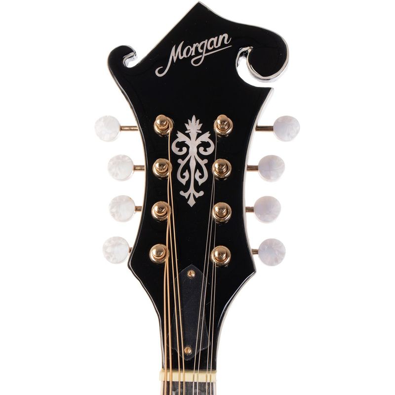 Morgan M 70 E TBK Mandolin Transparent sort