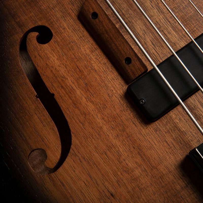 Cort B4FL MHPZ OPTA Fretless bass