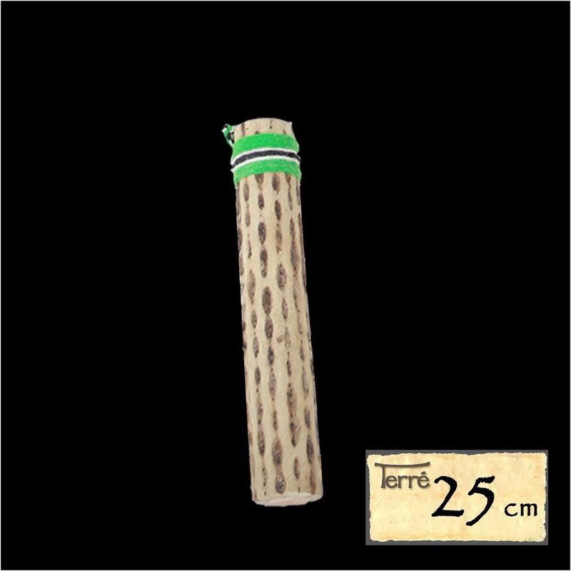 Regnstav av kaktus 25 cm, Ø 4-6 cm