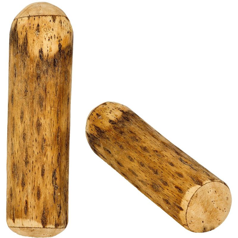 Regnstav av kaktus 25 cm, Ø 6-8 cm