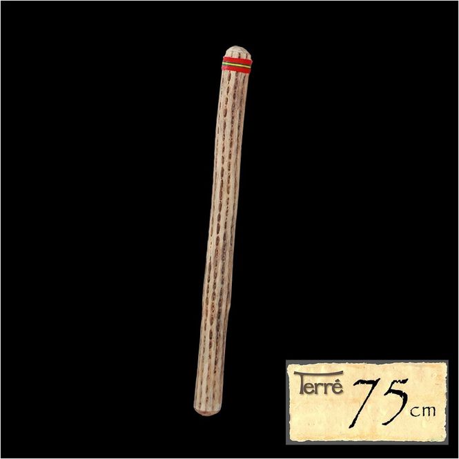 Hovedbilde Regnstav av kaktus 75 cm, Ø 6-8 cm